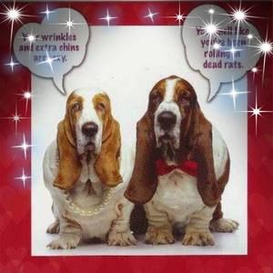 Meet your Posher, Janet